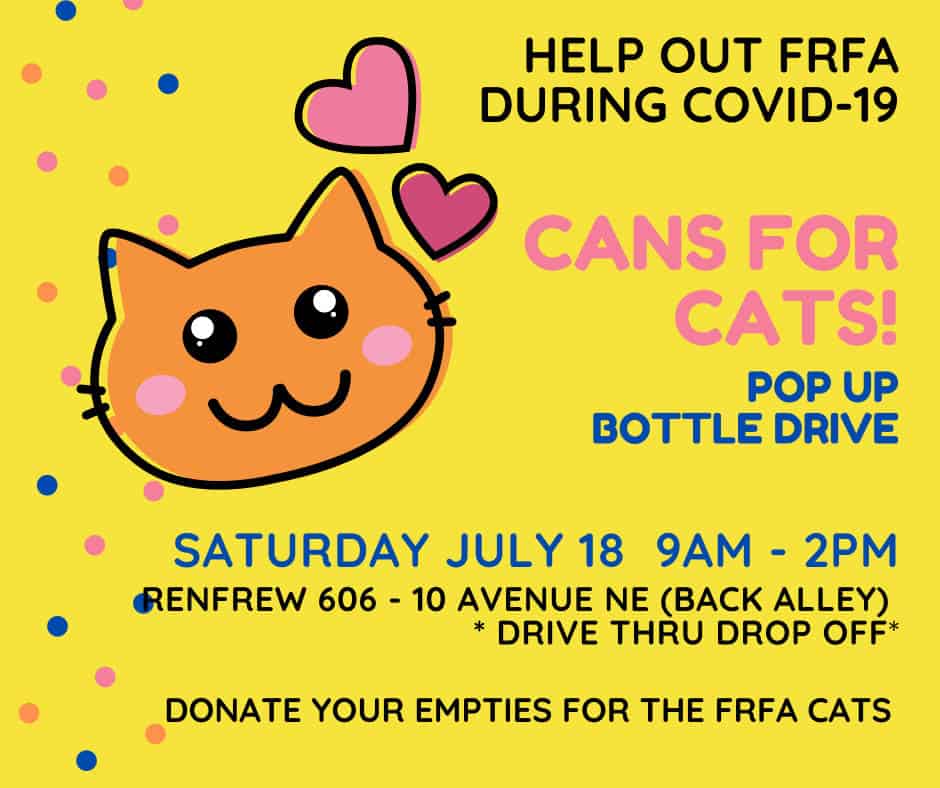 Cat caricature on yellow poster with July 2020 bottle drive details