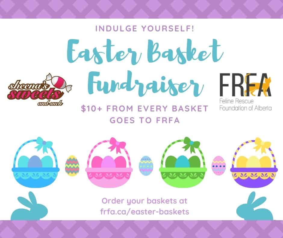 Easter Basket Fundraiser Poster