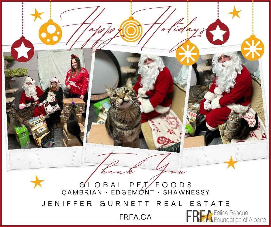 Santa delivering Global Pet Foods Rescue Box to FRFA