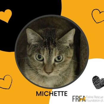 Michette
